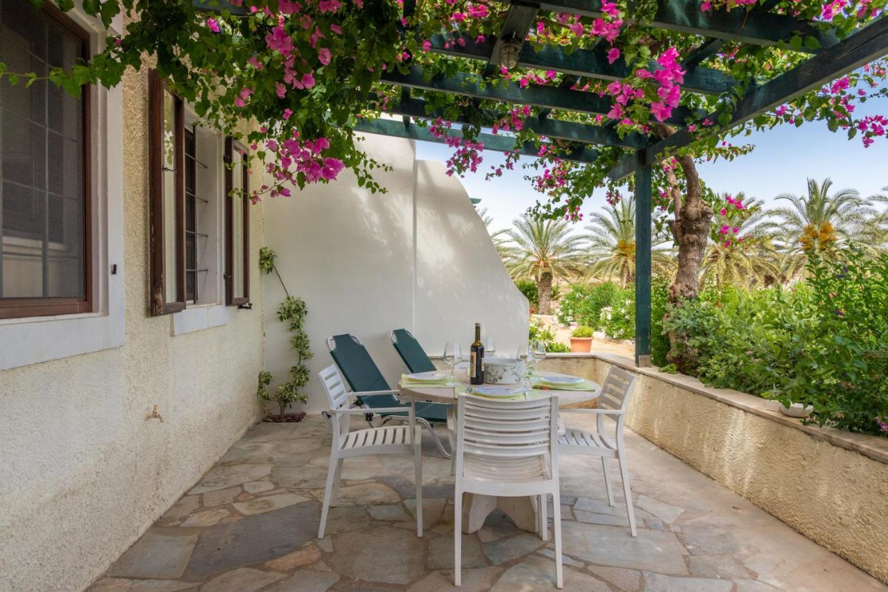 Bougainvillea House In Crete Sitia  Exteriör bild