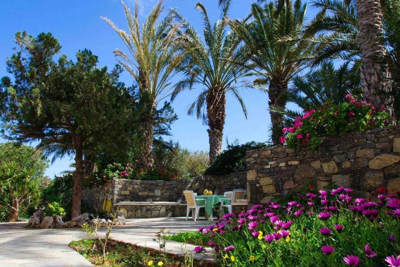 Bougainvillea House In Crete Sitia  Exteriör bild
