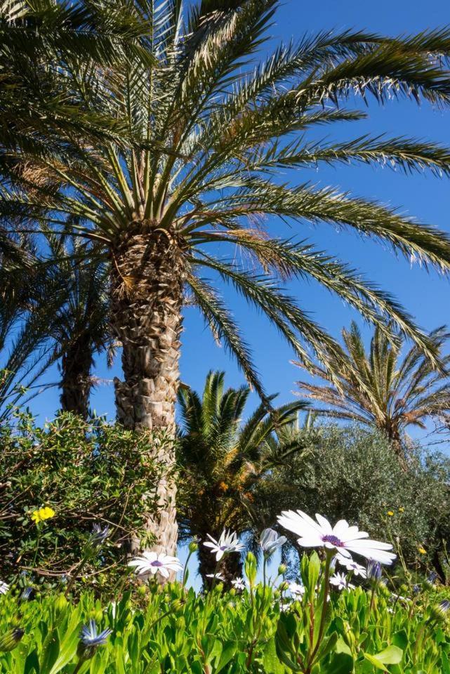 Bougainvillea House In Crete Sitia  Exteriör bild